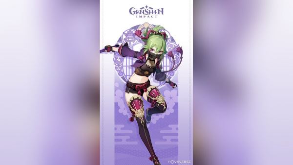 <br />
        Для Genshin Impact анонсировали новых персонажей — пышногрудую лучницу и девушку-ниндзя<br />
      