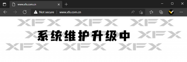 Китайские власти конфисковали почти 6 тыс. незаконно ввезённых видеокарт XFX